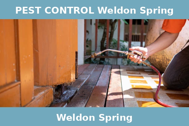 PEST CONTROL Weldon Spring